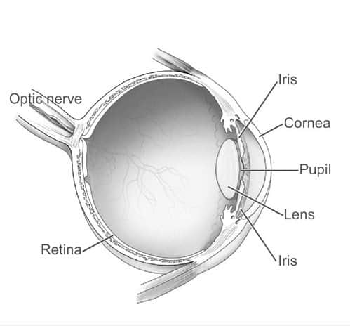 2 EyeDiagram